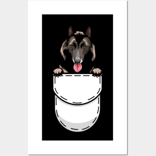 Funny Belgian Shepherd Tervueren Pocket Dog Posters and Art